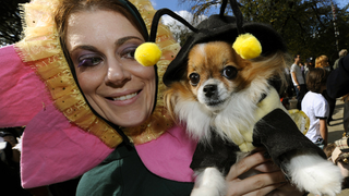 Illustration for article titled The Best Costumes From The Tompkins Square Dog Parade
